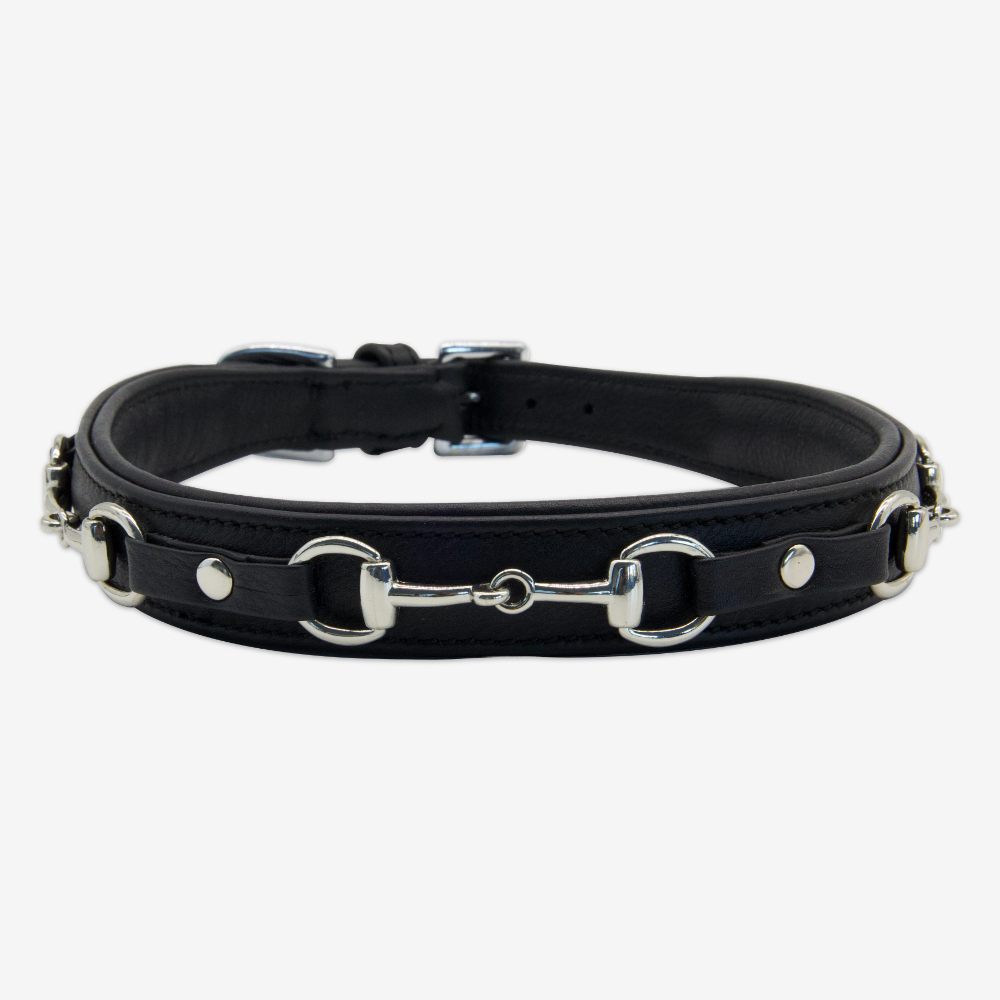 Halsband HORSEMAN in schwarz mit silbernen Messing-Beschlägen, Lederhalsband für Hunde